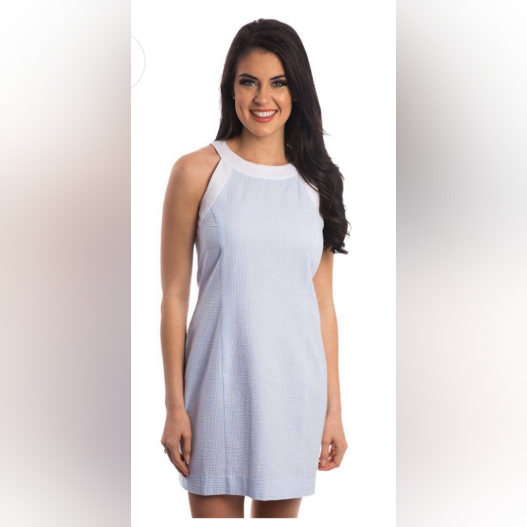 Lauren James The Arden Seersucker Women's Blue & White Shift Dress Size Small
